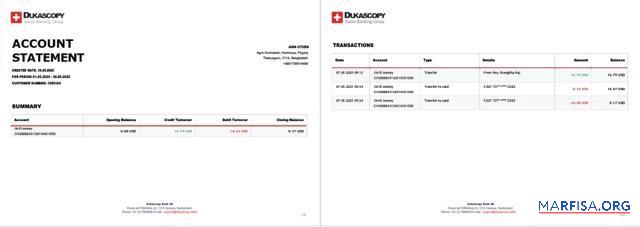 Blank Switzerland Dukascopy bank account statement word 2 pages example